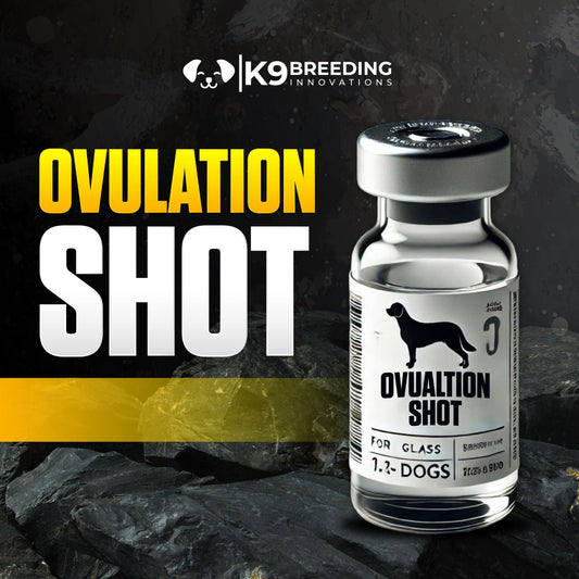 Ovulation Shot