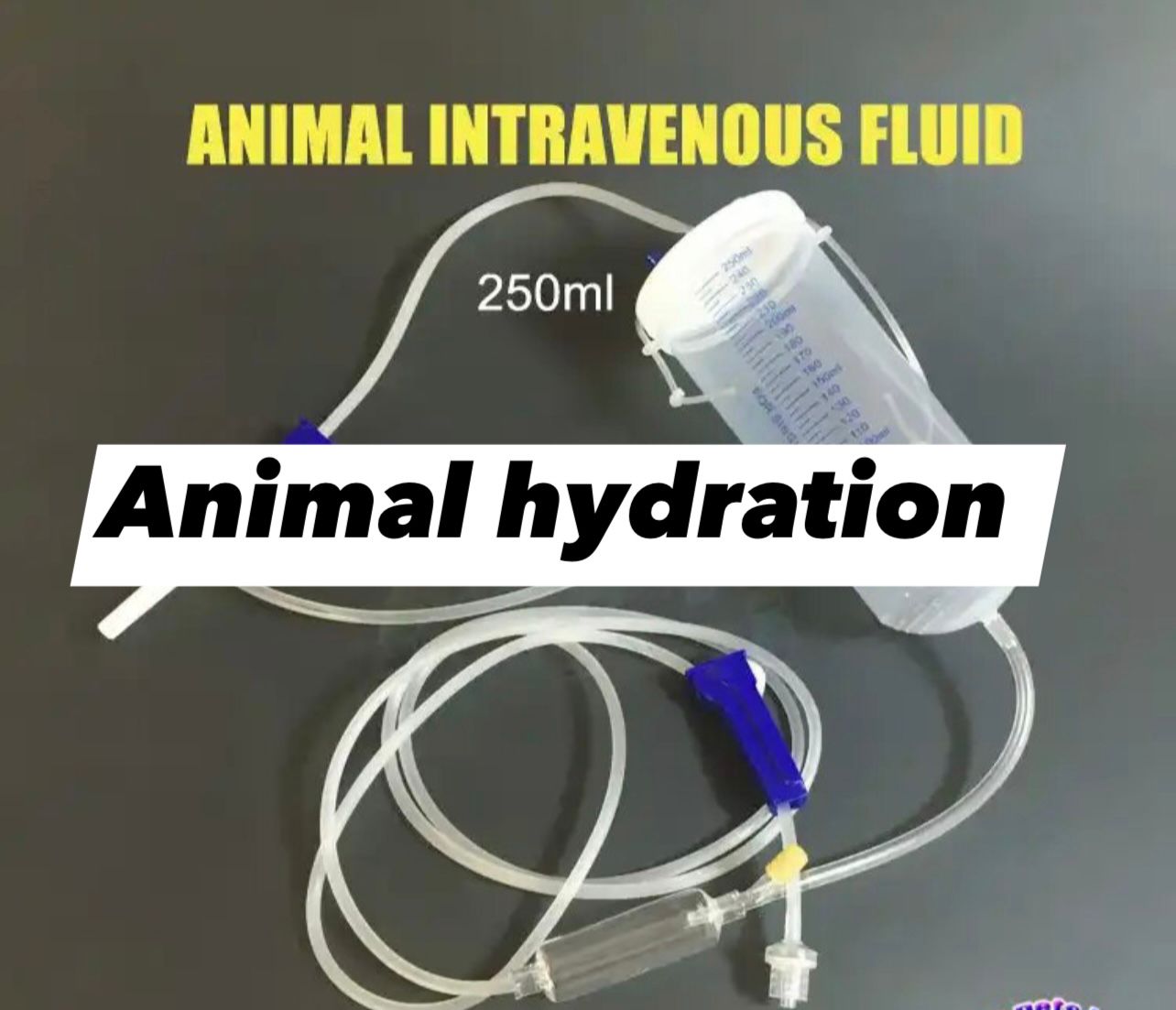 Animal Intervaneous fluid