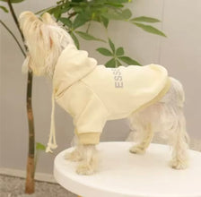 Essentials pet hoodie