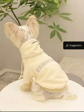 Essentials pet hoodie