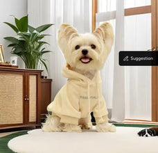 Essentials pet hoodie