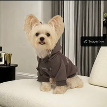 Essentials pet hoodie