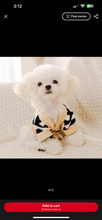 Luxury pet sweater