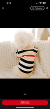 Luxury pet sweater