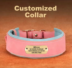 Ali name collar