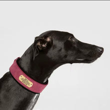 Ali name collar