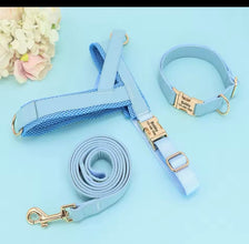 3 piece leather custom harness, collar , leash set
