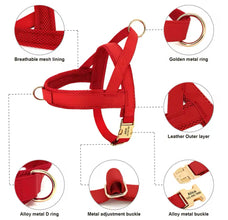 3 piece leather custom harness, collar , leash set
