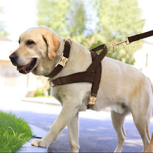 3 piece leather custom harness, collar , leash set
