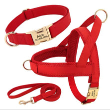 3 piece leather custom harness, collar , leash set