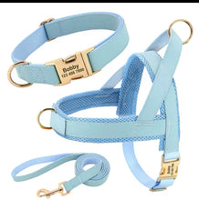 3 piece leather custom harness, collar , leash set