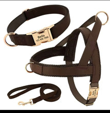 3 piece leather custom harness, collar , leash set