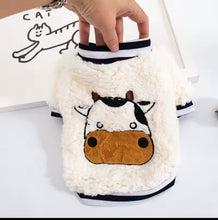 Limited edition Barndoodle cow sweater
