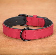Velvet soft collar