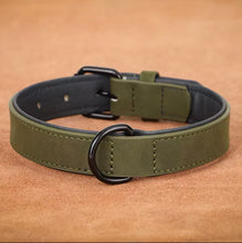 Velvet soft collar