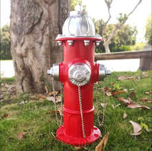 Dog fire hydrant