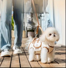 Stylish pet sling