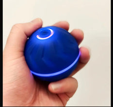 Rechargeable Glow in the Dark Ball