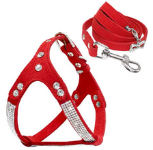 Rhinestone bling harness