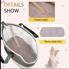 Ashley heart pet carrier