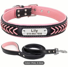 collar & leash