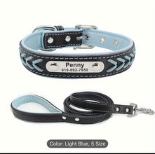 collar & leash