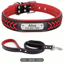 collar & leash