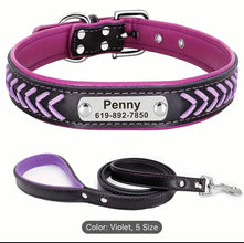 collar & leash
