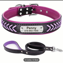 collar & leash