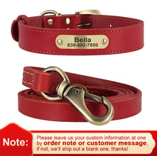 Collar and leash set