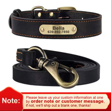 Collar and leash set