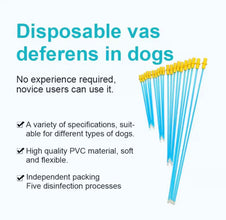 Artificial insemination pipettes