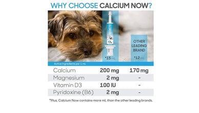 Calcium for dogs