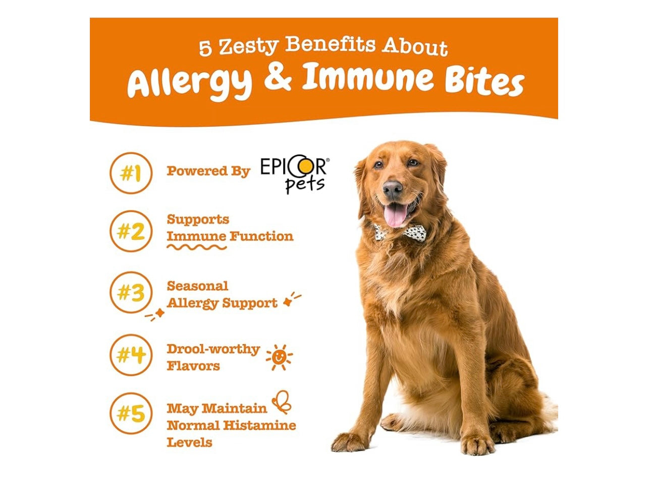 Zesty paws allergy supplement